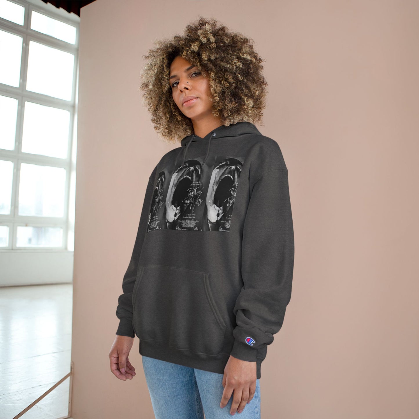Pink Floyd Inspired Champion Hoodie for Music Lovers