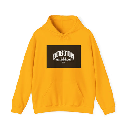 Boston USA Unisex Heavy Blend Hoodie | Cozy Sweatshirt for Travel Lovers, Gift for College Students, Fall Fashion
